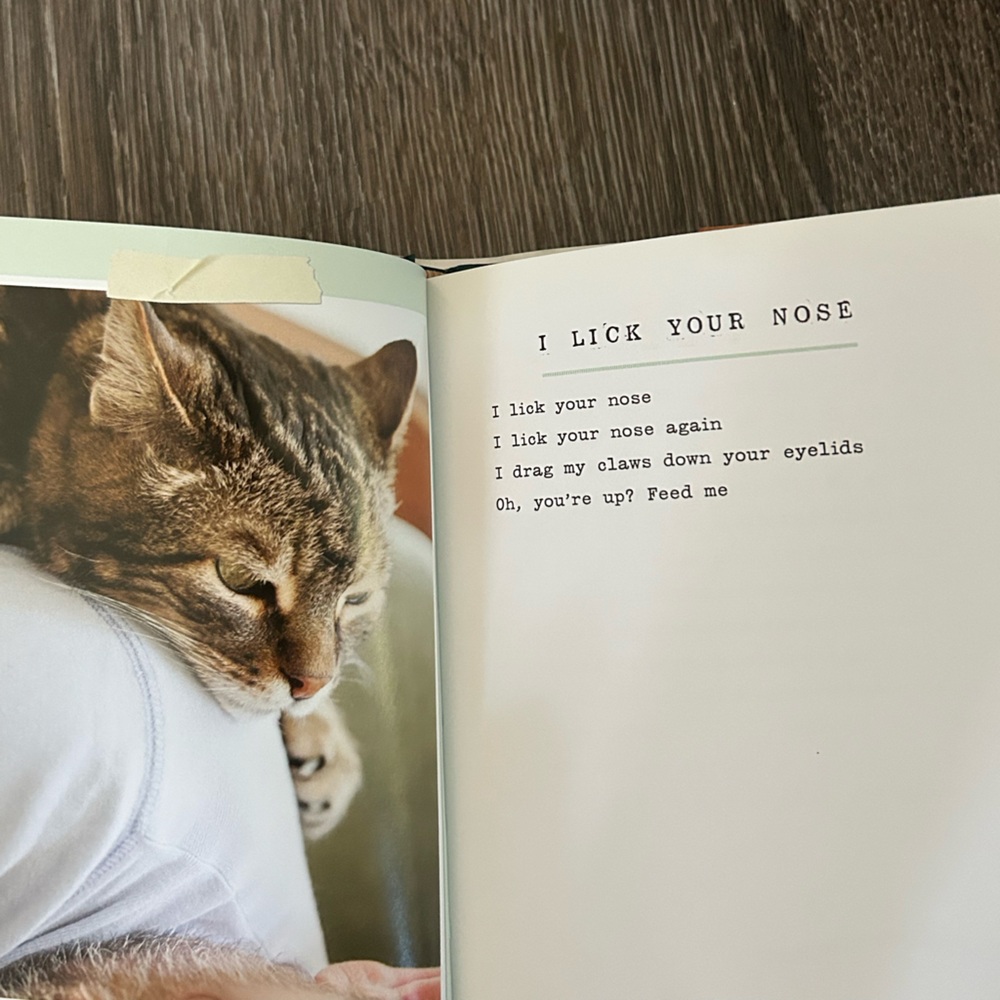 I Could Pee on This and other poems by cats book - Picture 3 of 3